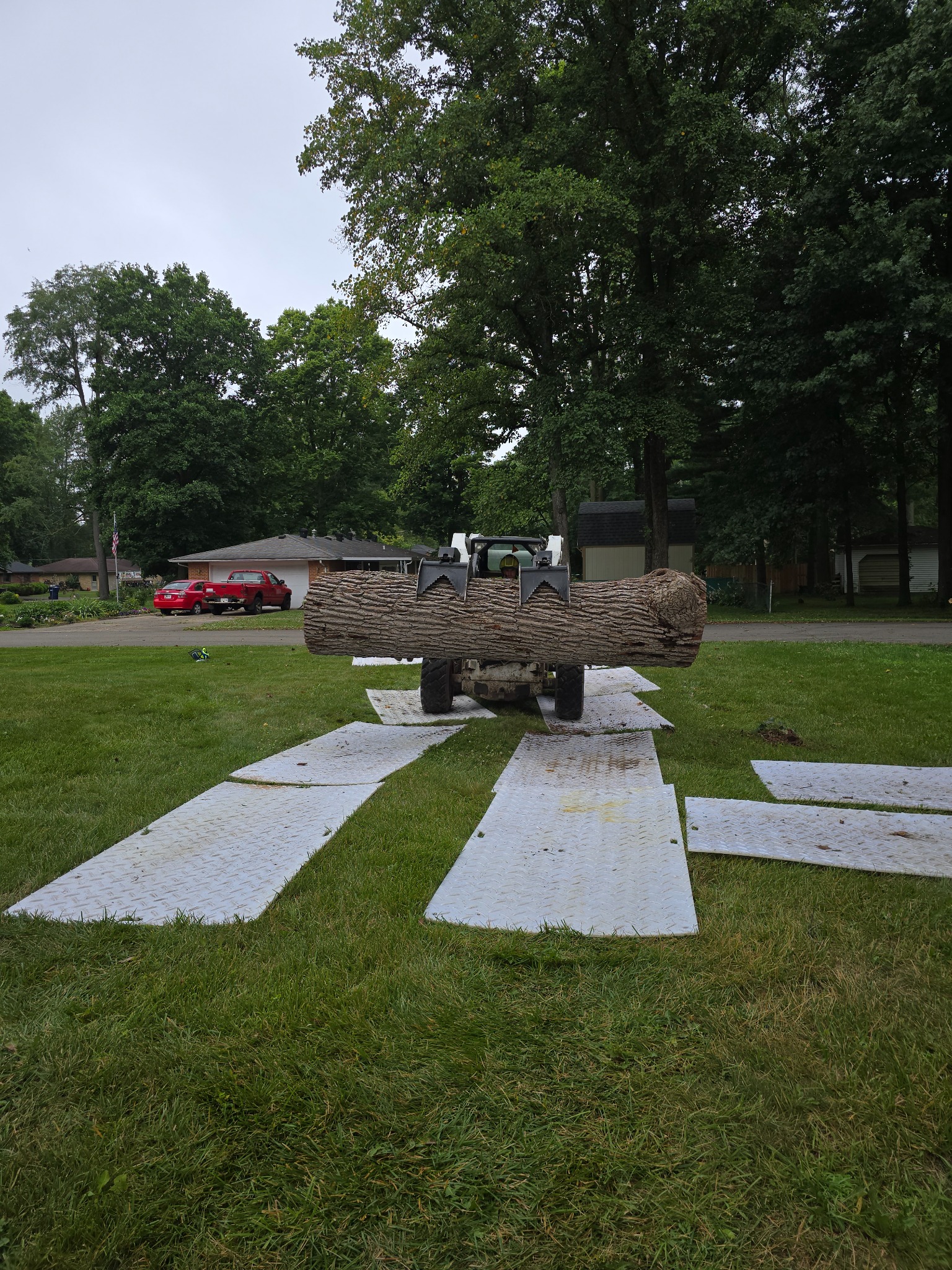Compact loader carrying a large log while operating on white ground protection mats